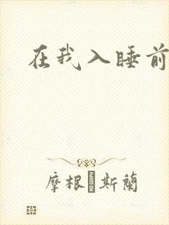 在我入睡前封面