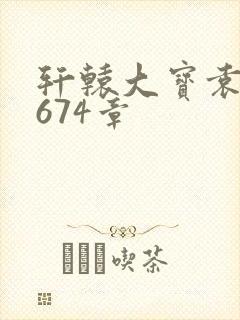 轩辕大宝袁雪妃674章