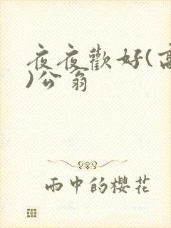 夜夜欢好(高h)公翁封面