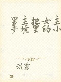 男主把女主拖进梦境里的小说