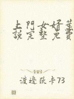 上门女婿叶辰小说完整免费封面