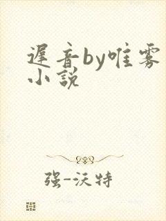 迟音by唯雾的小说