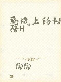 飞机上的秘密服务H