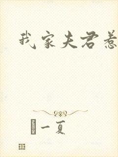 我家夫君惹不起