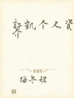 许凯个人资料简介