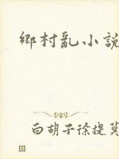 乡村乱小说