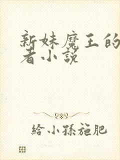 新妹魔王的契约者小说封面