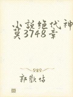 小说绝代神主苏莫3748章