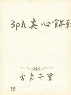 3ph夹心饼干封面