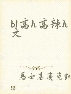 bl高h高辣h文封面