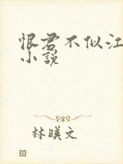 恨君不似江楼月小说