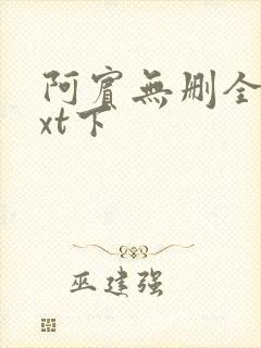 阿宾无删全文txt下