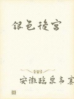 银色后宫