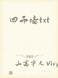 四面墙txt