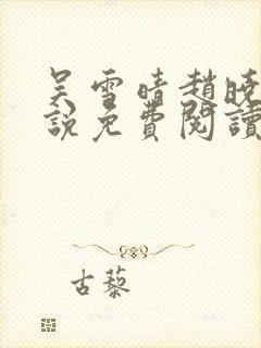 吴雪晴赵晓东小说免费阅读