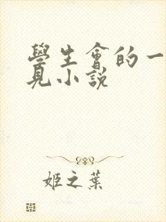 学生会的一己之见小说