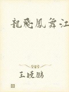 龙飞凤舞江一龙封面