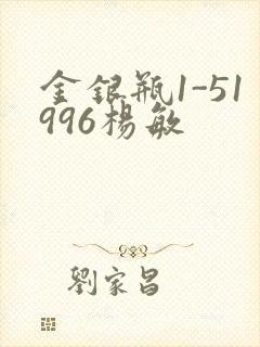 金银瓶1-51996杨敏封面