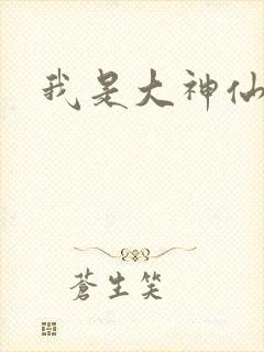我是大神仙小说
