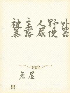 被主人野外调教暴露尿便器