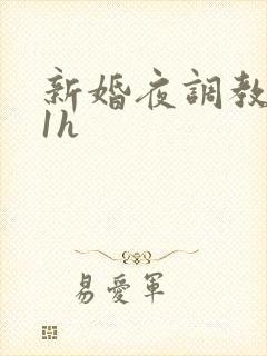 新婚夜调教1v1h