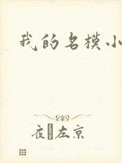 我的名模小娇妻封面
