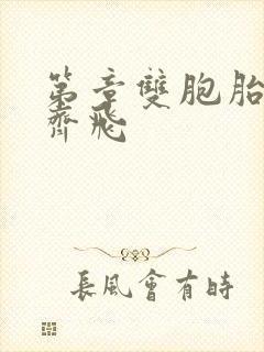 第章双胞胎姐妹齐飞