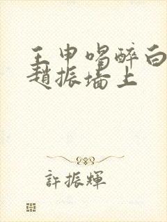 王申喝醉白洁被赵振墙上