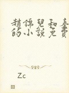 赵锦儿和秦慕修的小说免费阅读全文封面