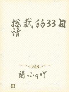 总裁的33日索情