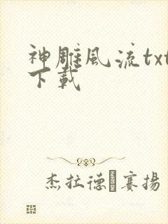 神雕风流txt下载封面