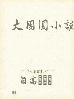 大团圆小说