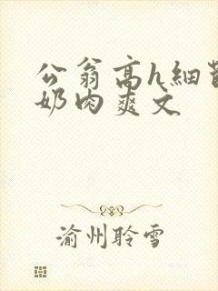 公翁高h细节吃奶肉爽文