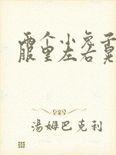 两个小兔子在衣服里左右晃