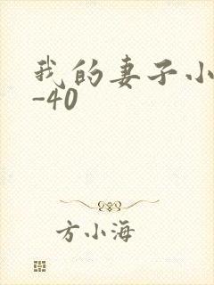 我的妻子小谨1-40