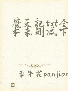 魔天记txt全本未删减下载