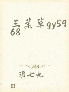 三叶草gy5968封面