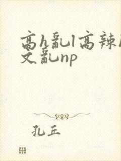 高h乱l高辣h文乱np