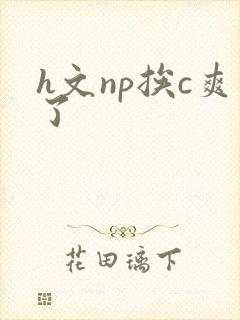 h文np挨c爽了