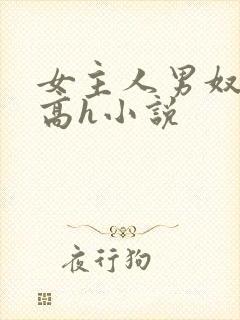 女主人男奴调教高h小说封面