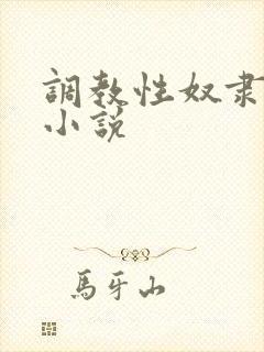 调教性奴隶老婆小说封面