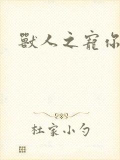 兽人之宠你为上