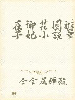 在御花园进入太子妃小说笔趣阁封面