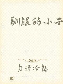 驯服的小子4封面