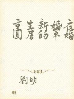 重生新婚夜正在圆房的军婚