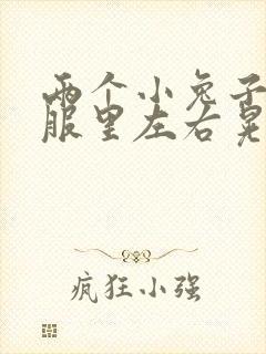 两个小兔子在衣服里左右晃