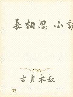 长相思 小说