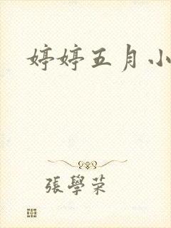 婷婷五月小说封面