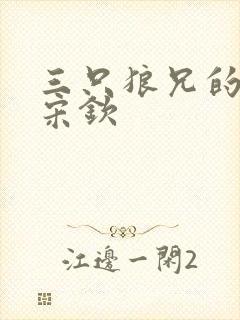 三只狼兄的宠妻宋钦