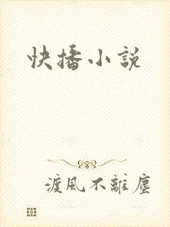 快播小说